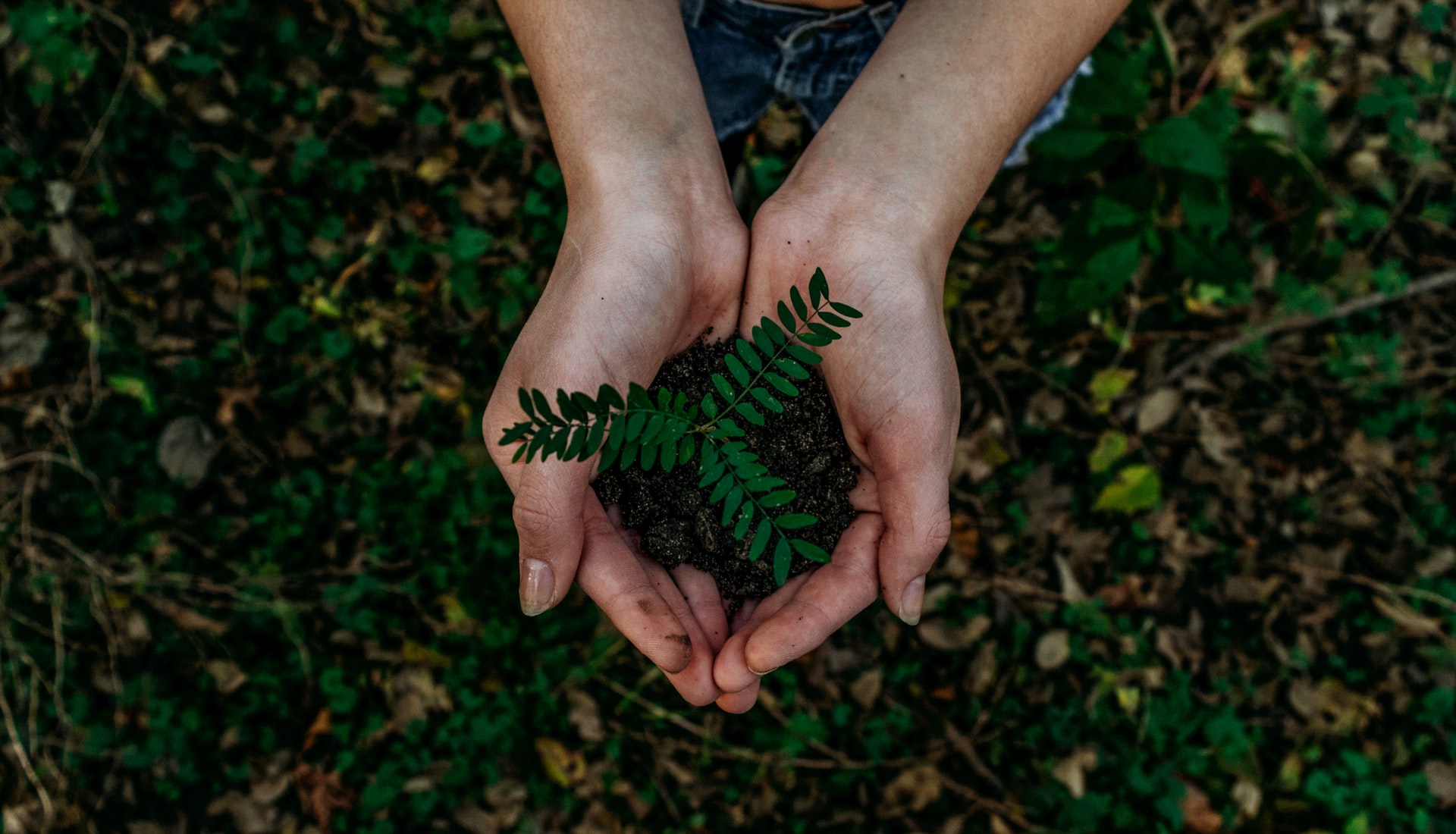 Enviromental Management
